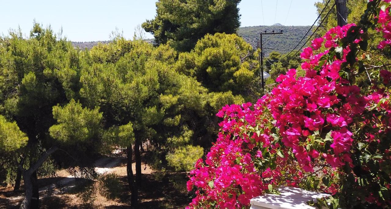 Fistiki Rooms Agia Marina  Exterior foto